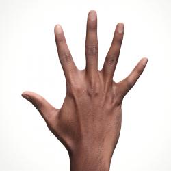 Ciawi Jianguo Retopo Hand Scan